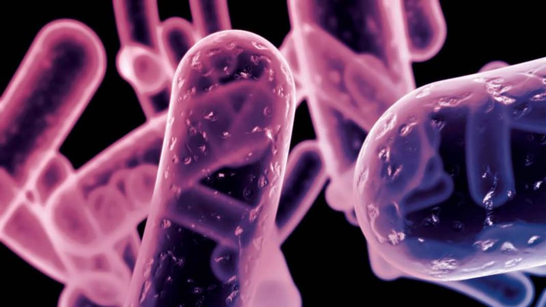 Ratgeber: Dieselbakterien - Kleine Ursache, grosse Wirkung: Bakterien im Diesel