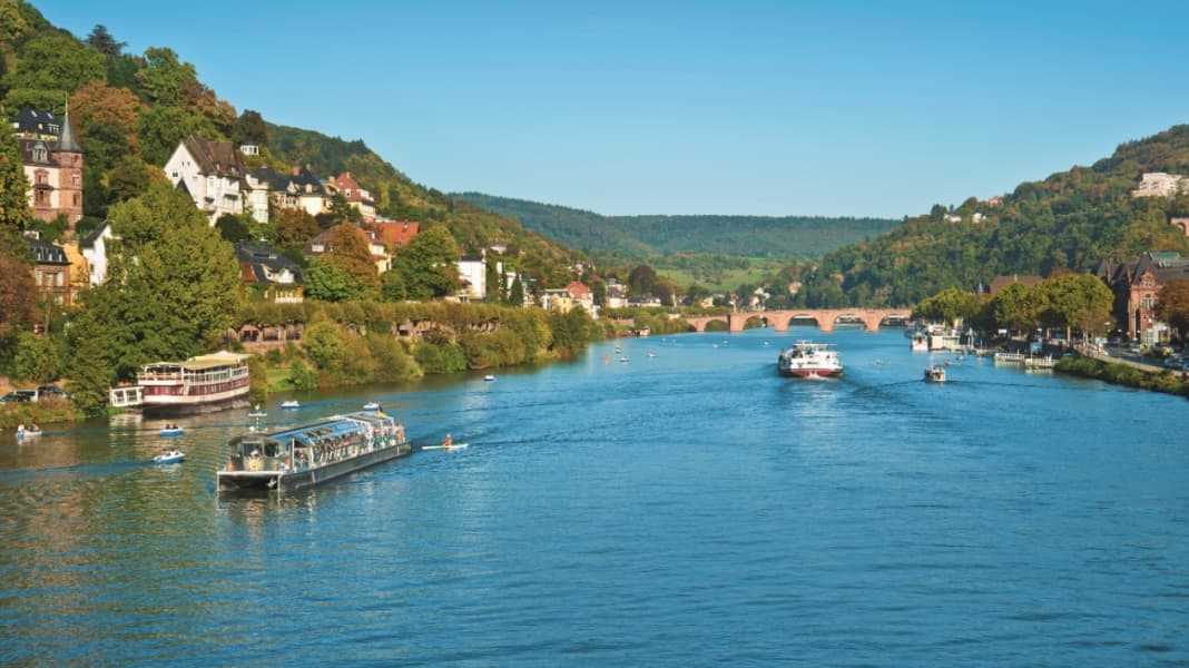Revierporträt: Deutschland - Neckar