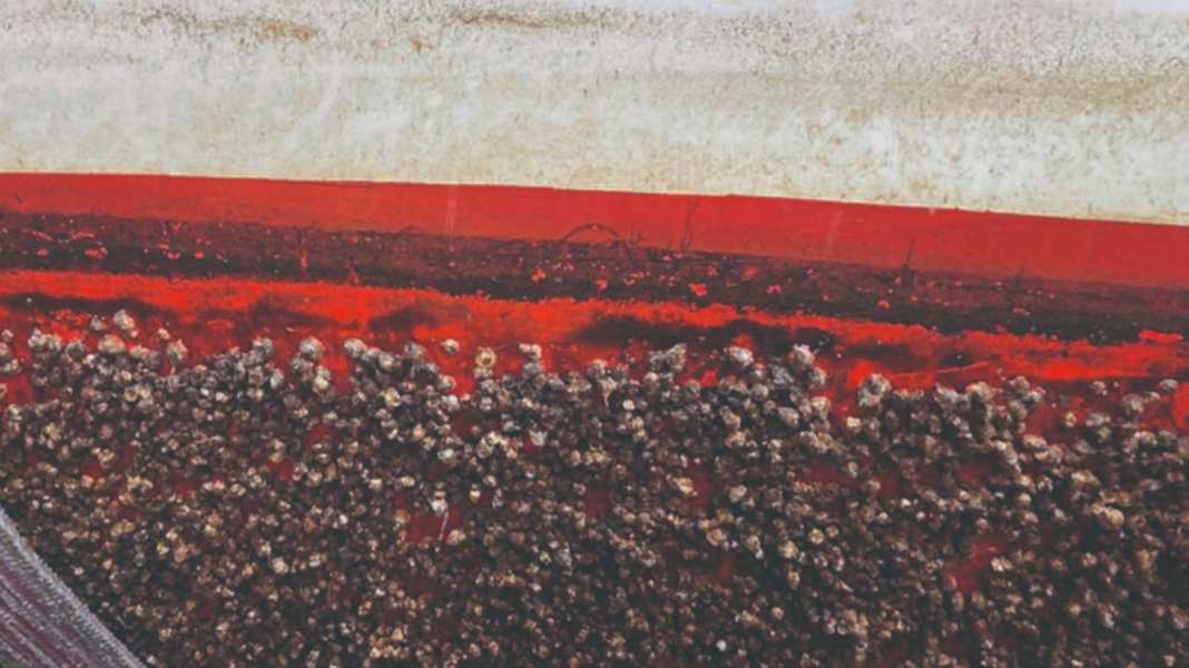 Schutz vor Bewuchs: Antifouling-Systeme im Überblick