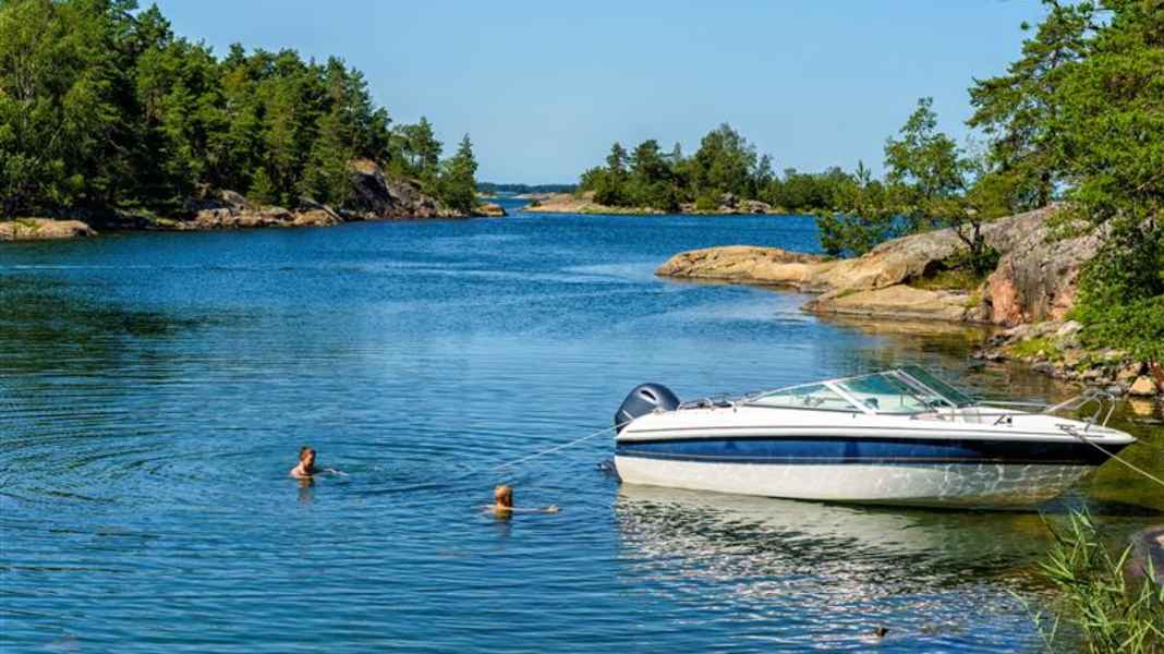 Baltic Sea: Scientists work on early warning system for vibrios