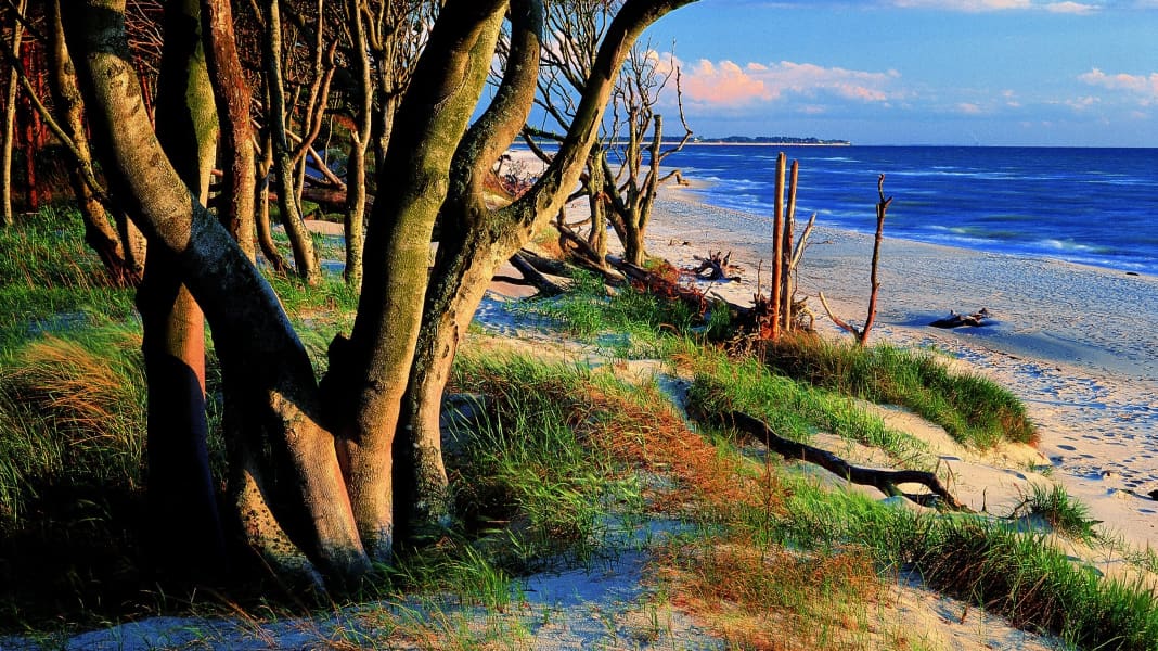 Western Pomeranian Bodden Landscape