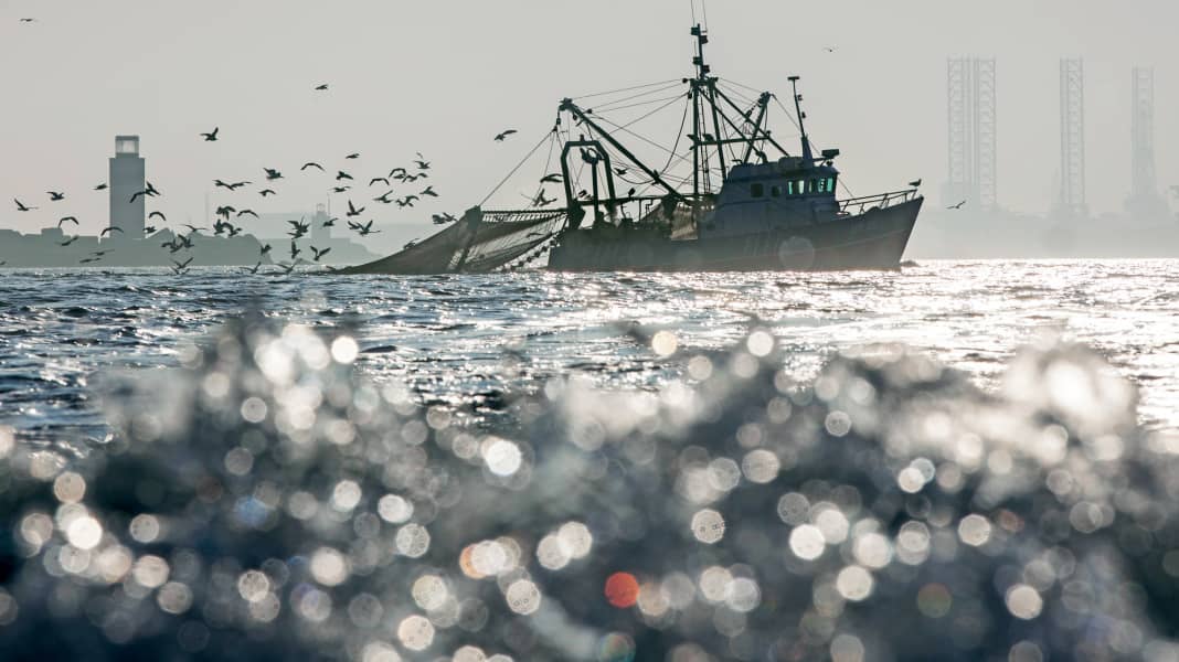 Photography: How to take better pictures on board