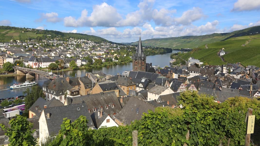 Törn: Saar und Mosel - In Vino Veritas