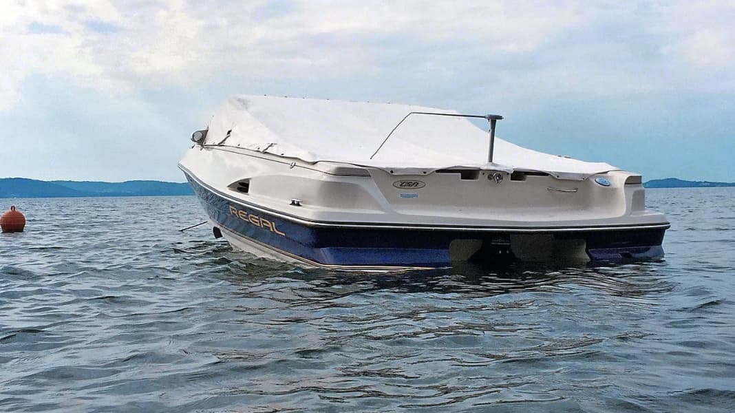 Solar-powered scarecrow - troublemaker on board