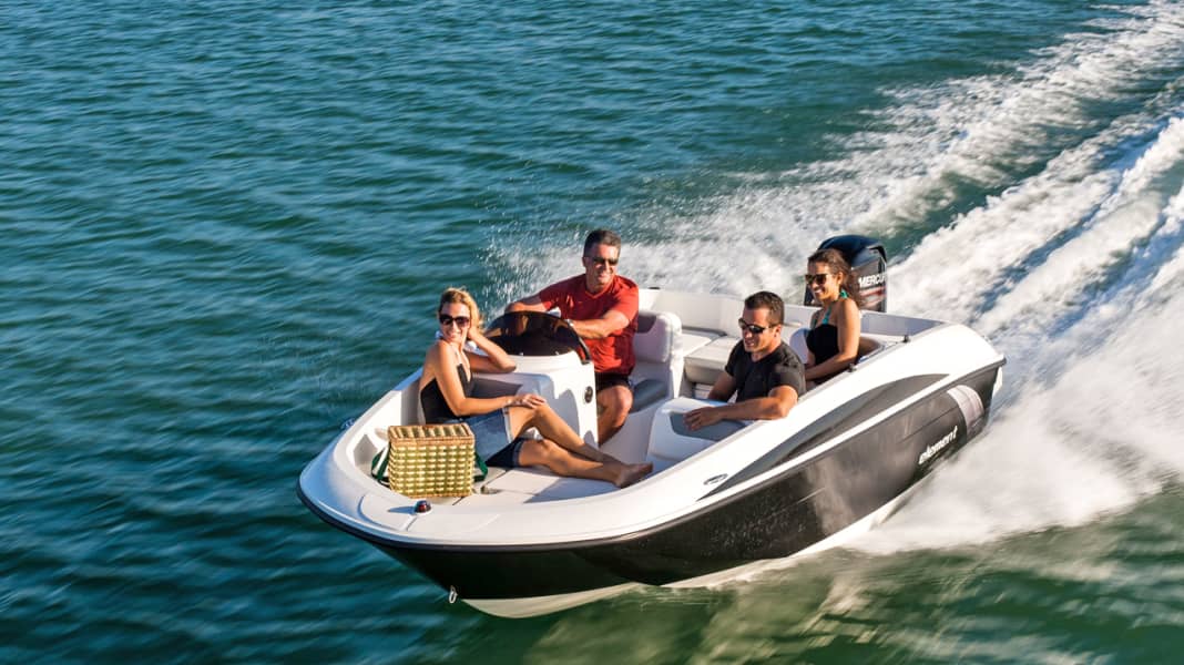 Bayliner Element