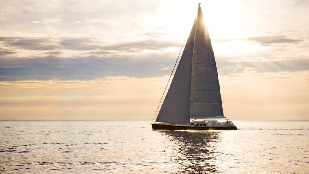 Canova: Il giro del mondo in mogano