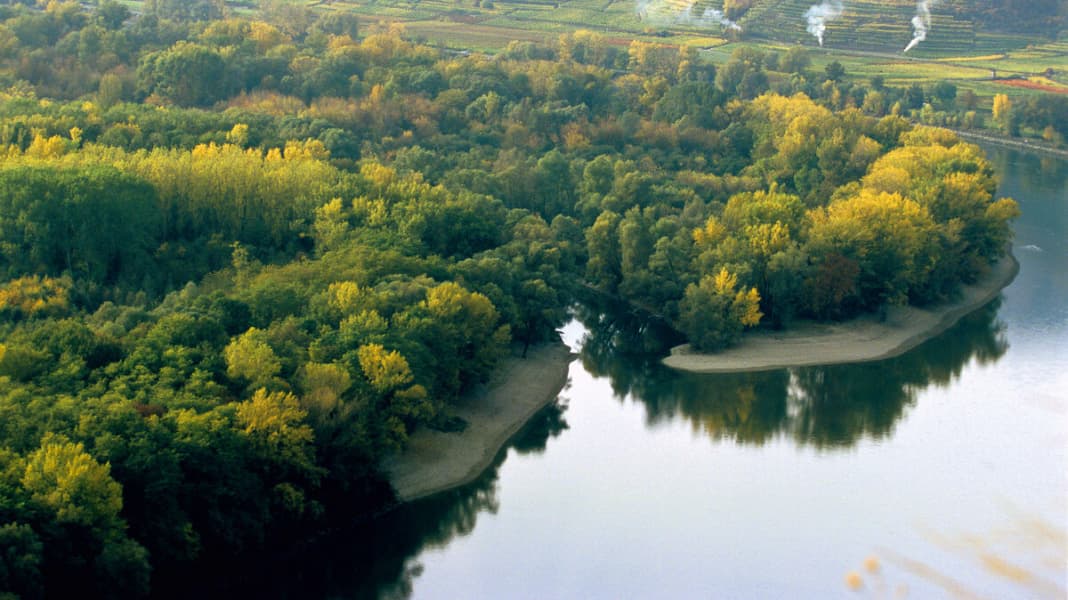 Die 10 schönsten Flüsse für Stand-Up-Paddler: Donau