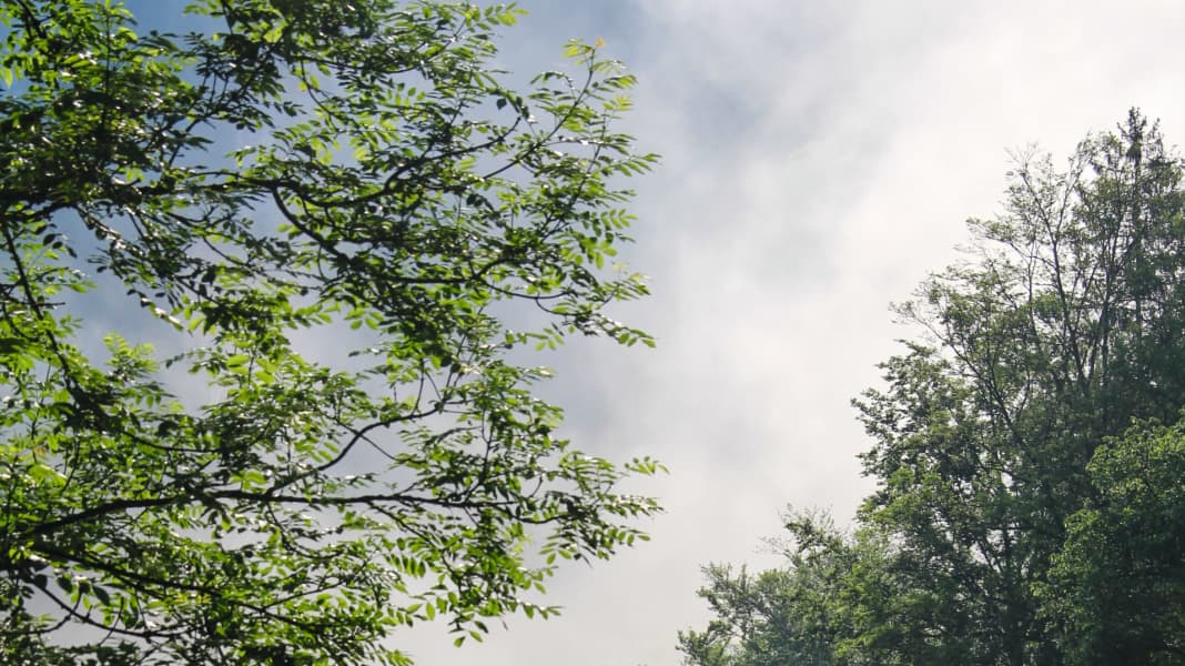 Timm Kruse - the river man