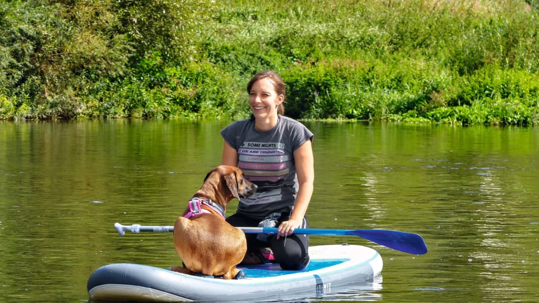 Hund und SUP: Tipps fürs Paddeln mit Hund