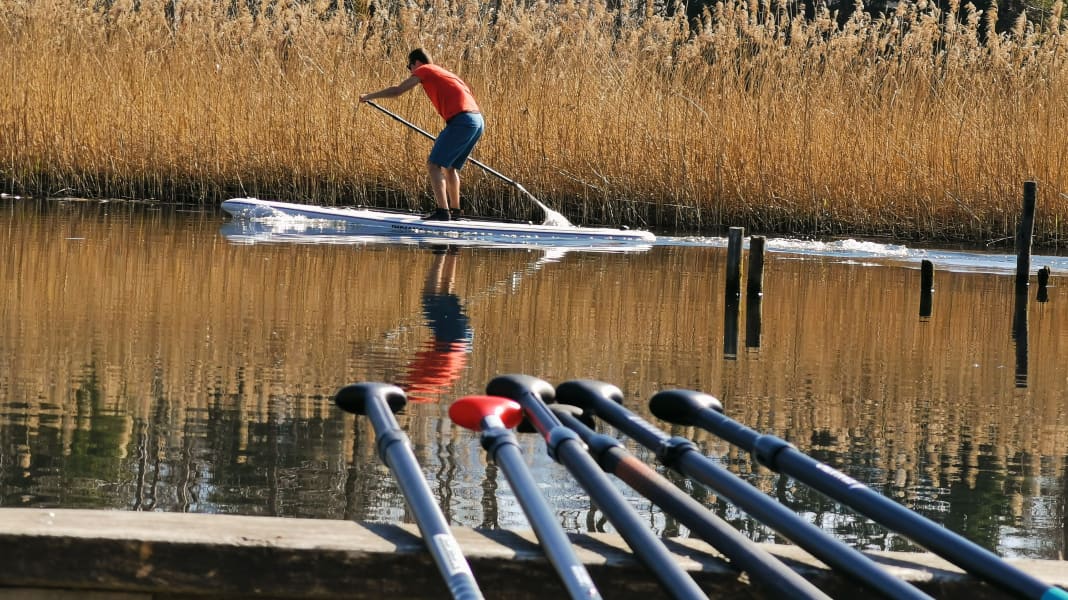 Mega test 2020/2021: 40 vario paddles