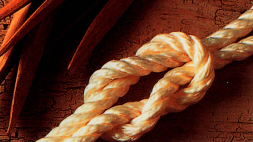 The most important knots | SURF