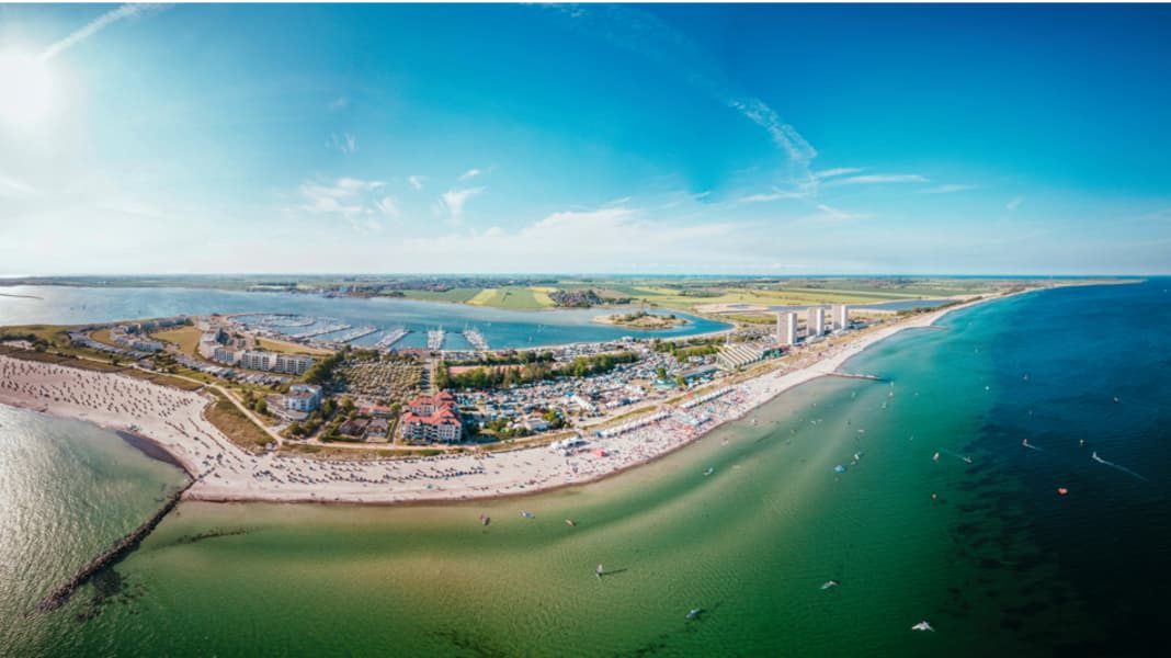 Surf-Festival - das volle Programm!