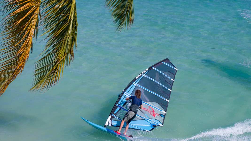 Freeride sail No Cam: Focus on the features and details of the 2024 models