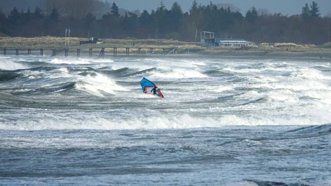Baltic Sea National Park: What happened at the strategy meeting in Kiel