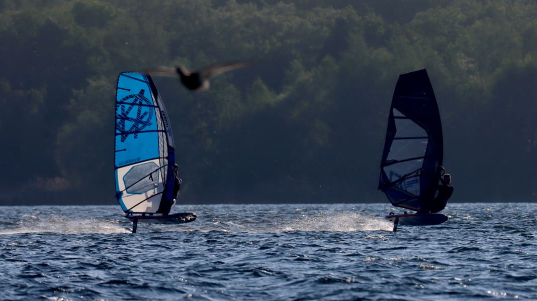 Foil ban Saxony: The fight goes on!
