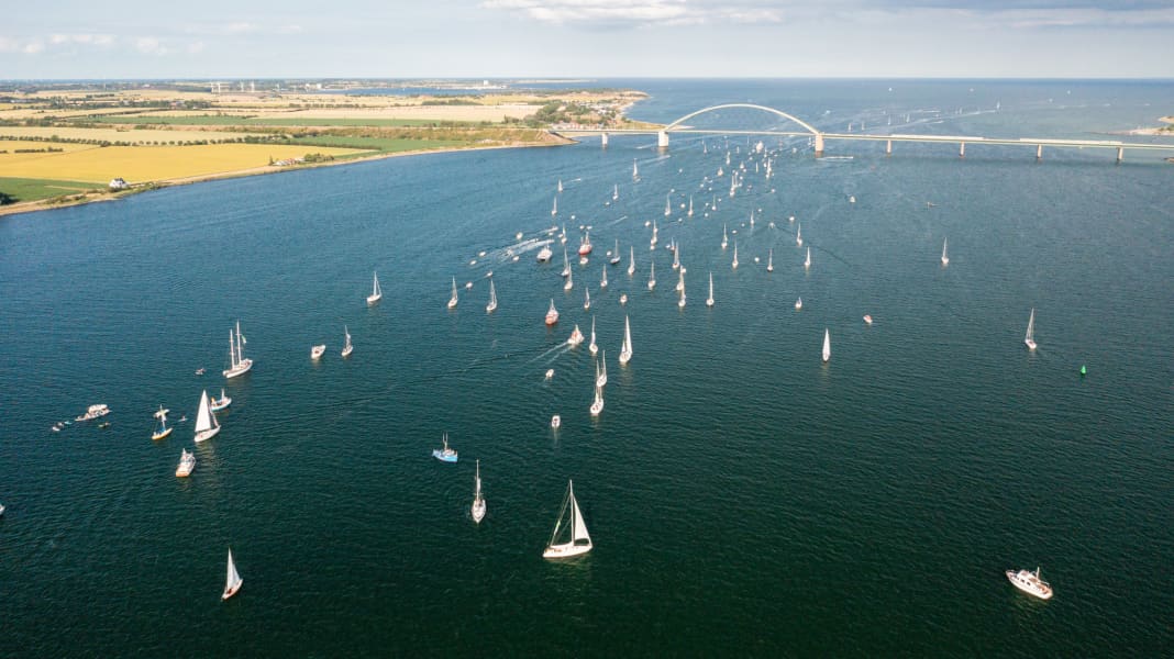State party conference: Baltic Sea National Park on the brink of collapse - CDU to vote against Goldschmidt plans