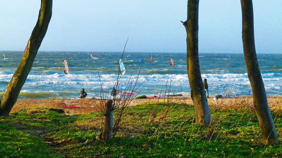 Nationalpark Ostsee: “Ergebnisoffene Diskussion” - aber Stellen werden schon besetzt