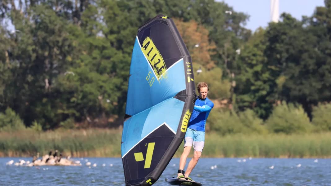 Tahe Alizé: The affordable all-round wing in a comparison test