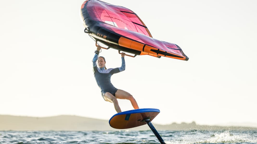 Poll: Which grip system makes sense for wings?