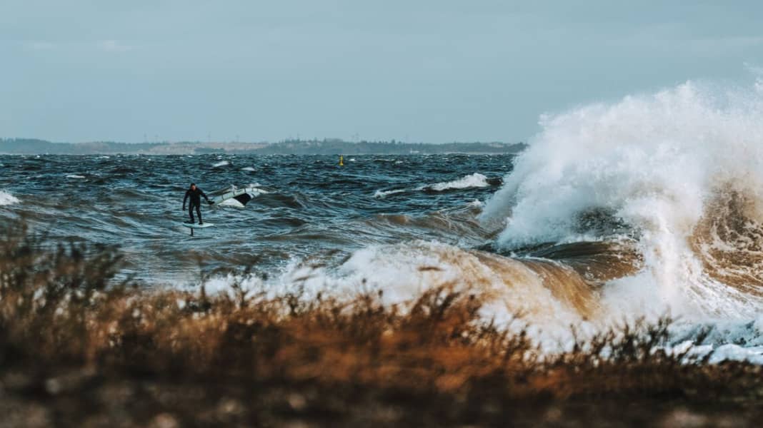 Nationalpark Ostsee: Neues Portal mit allen Informationen