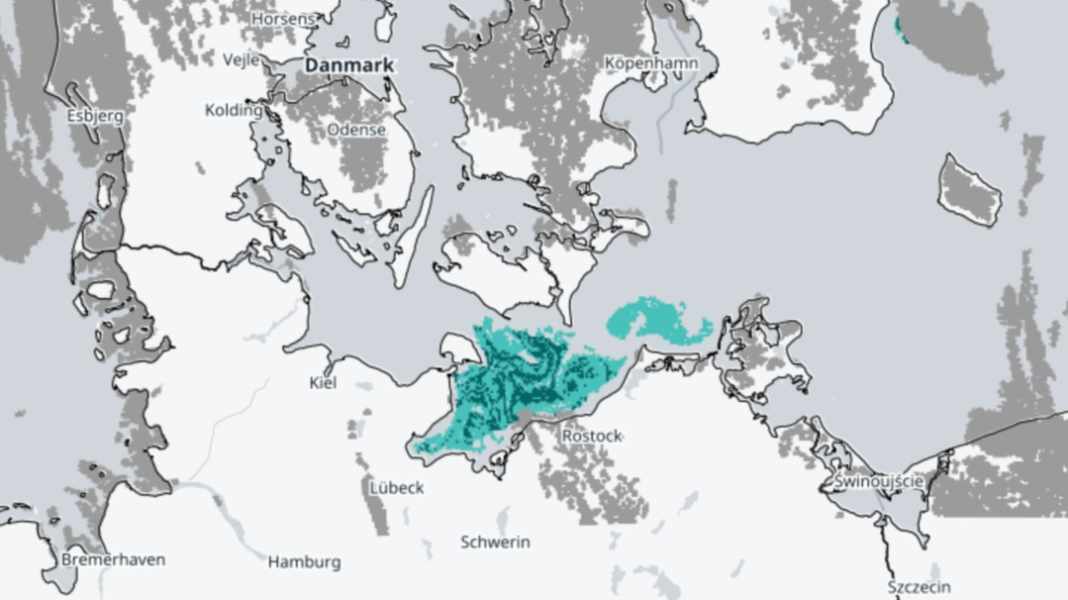 Blaualgen: Algenblüte befällt auch die deutsche Ostseeküste