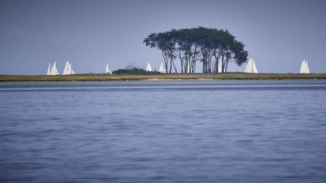 Parc national de la mer Baltique : fin des consultations avec les plaisanciers, les politiques vont maintenant décider
