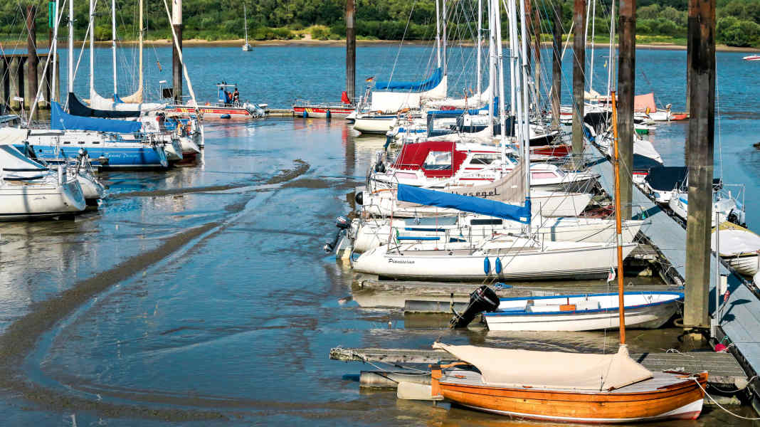 Lower Elbe: State sailing associations decide on action alliance against siltation