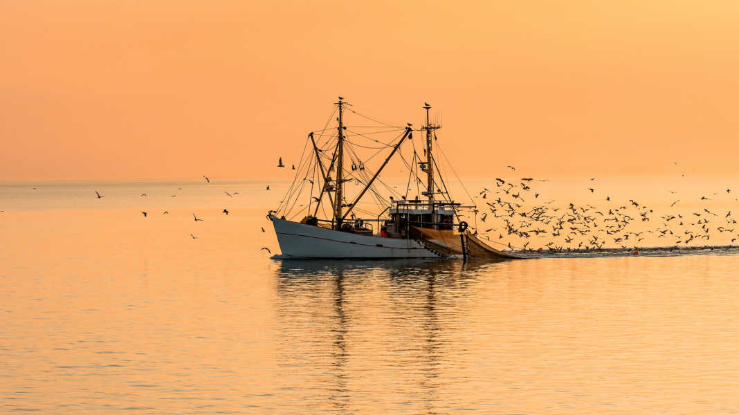 Fishing nets: These fishing systems exist and how to avoid them