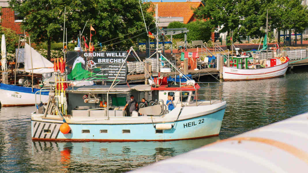 Entretien avec la presse : Un scientifique estime que le débat sur les parcs nationaux est une tempête dans un verre d'eau