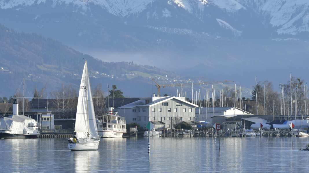 Gebührenkeule am Bodensee: Bregenz kassiert 45.000 Euro für Liegeplatz-Warteliste