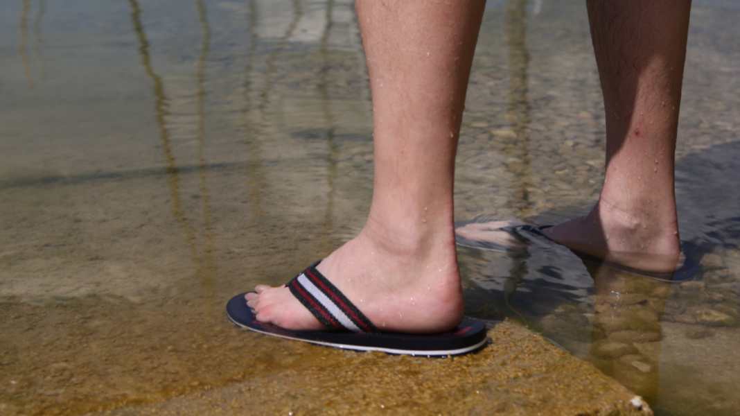 Ostsee: Wie gefährlich sind Vibrionen?