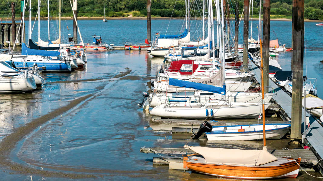 Lower Elbe sailing area: worries at the start of the season - sailors fight against siltation in their harbours