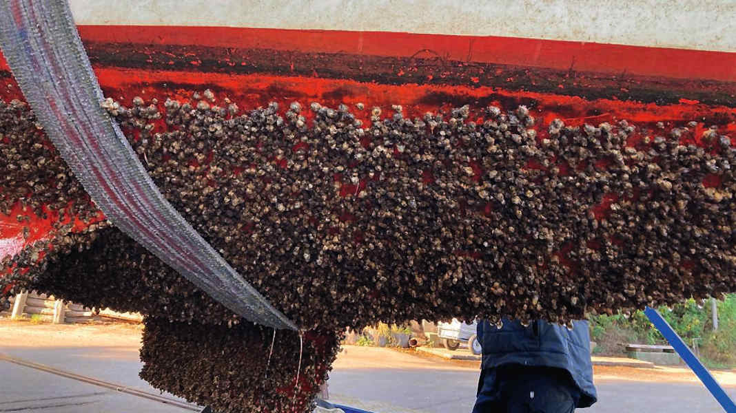 Fouling protection: All about antifouling systems