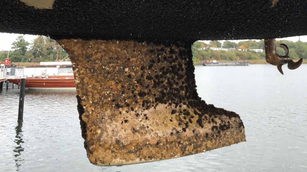Schutz vor Bewuchs: Biozidfreies Antifouling - Ja oder Nein? Der Bewuchsatlas gibt Aufschluss