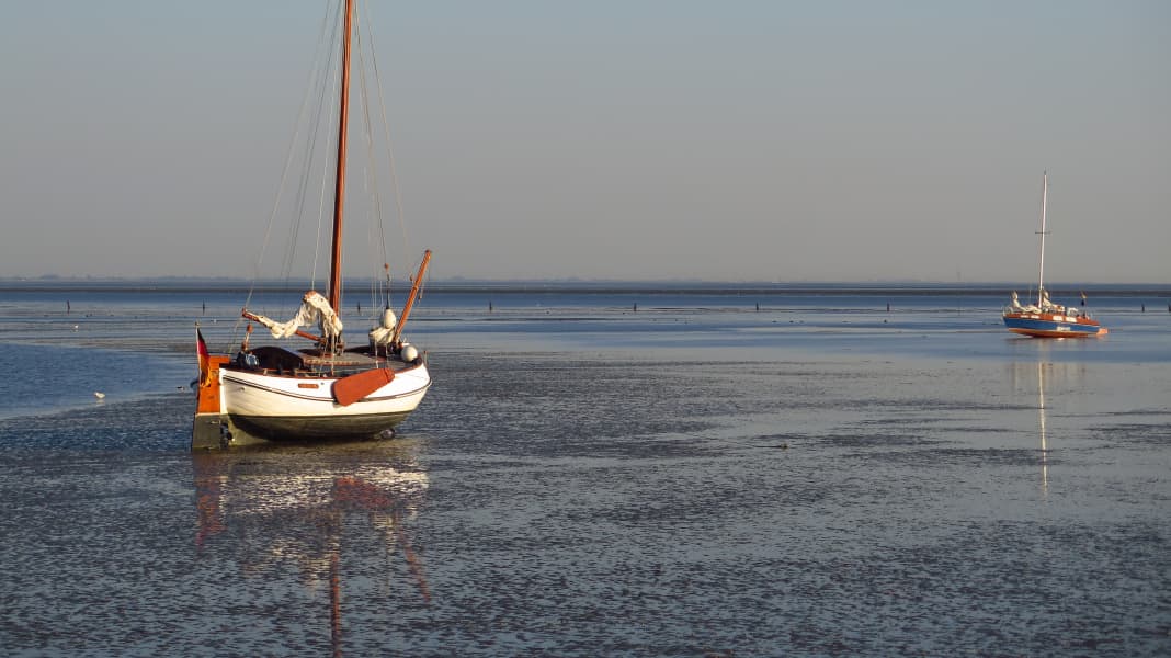 Mer des Wadden allemande : "Nous sommes de toute façon déjà dans un désert de voile".