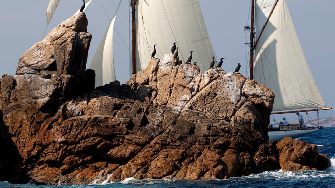 Classic: International regatta calendar