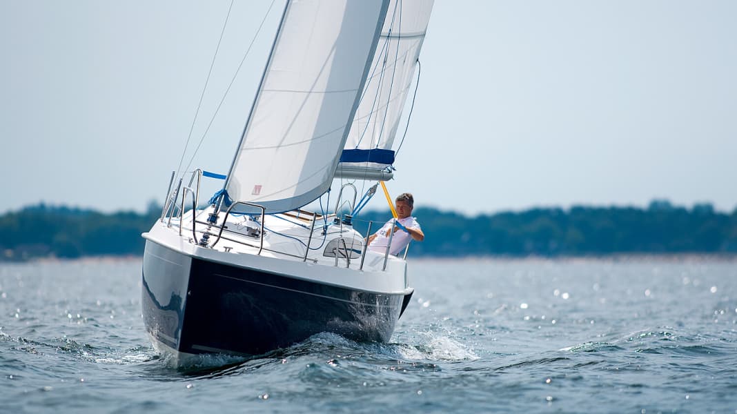 Viko 25: il bestseller della Polonia