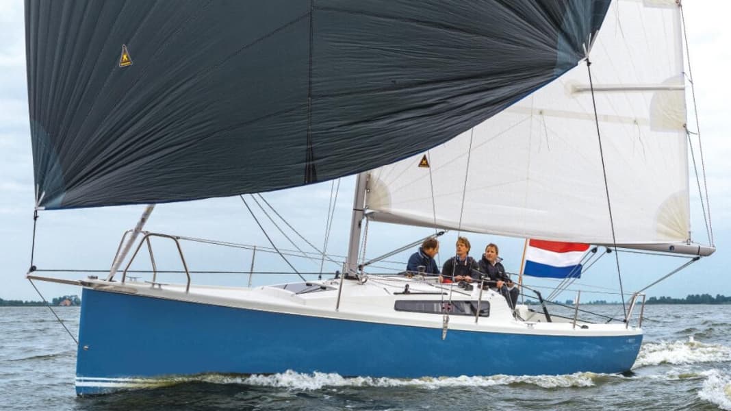 Pointer 25: Ehrliches Multitalent aus Holland