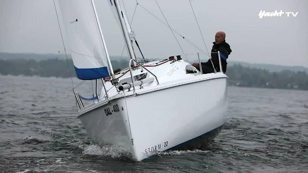 Polnischer Zwerg: Neu in Deutschland: Storm 22