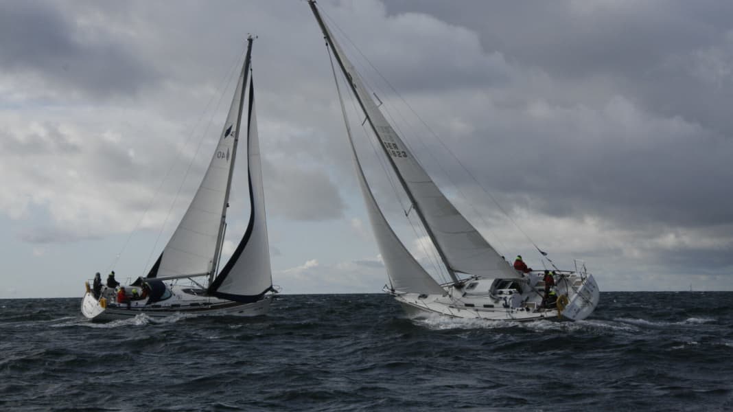 Regata divertente: la vela d'altura come sport popolare