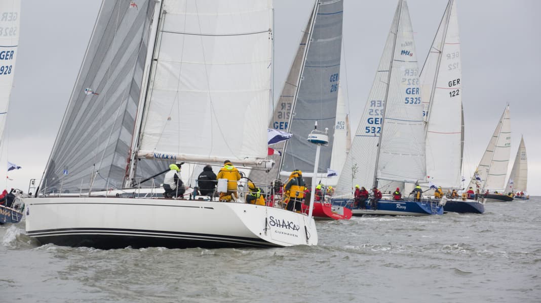 North Sea Week: "Like a wet trainers"