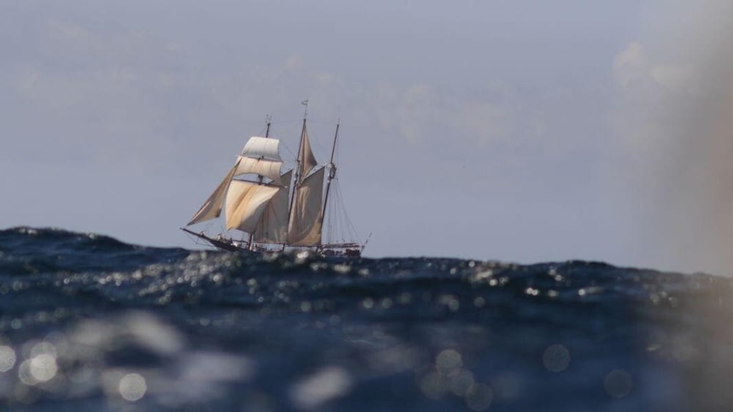 Politique : le nouveau règlement de sécurité pour les bateaux traditionnels est arrivé