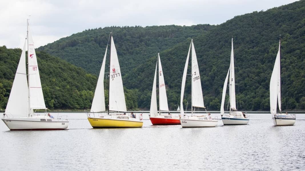 Small cruiser special: Small cruisers, big fun