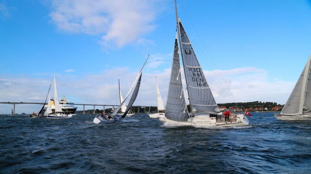 Einhand-Regatta: Online-Meldung für Silverrudder startet am Sonntag um 17 Uhr