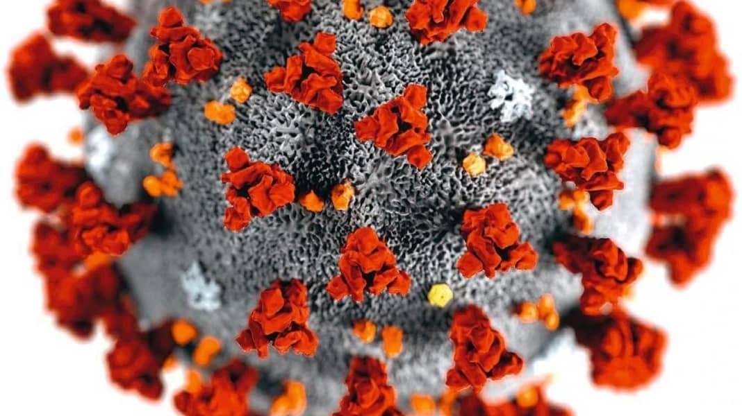 Newsticker Covid-19 : comment le virus Corona frappe durement le monde de la voile