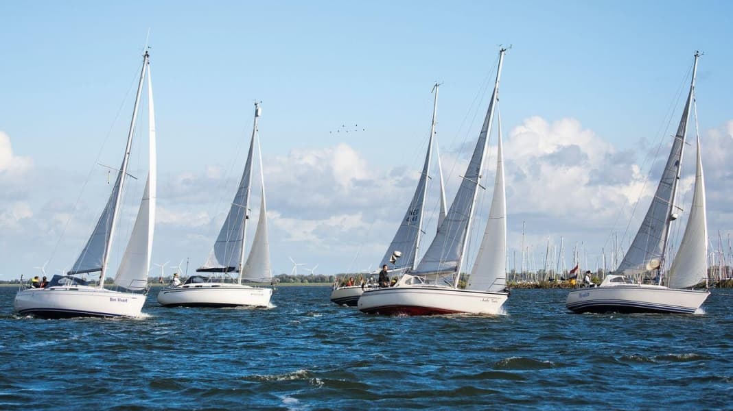 Tipps zum Gebrauchtbootkauf: Im Test: fünf gebrauchte Yachten für 40.000 Euro