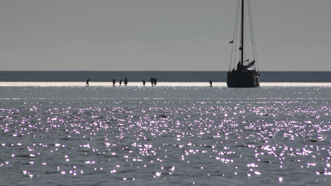 Revier-Info: Yachtcharter Niederlande: Wattensee