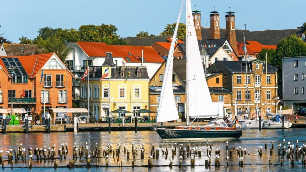 Journey: The Schlei: a perfect microcosm