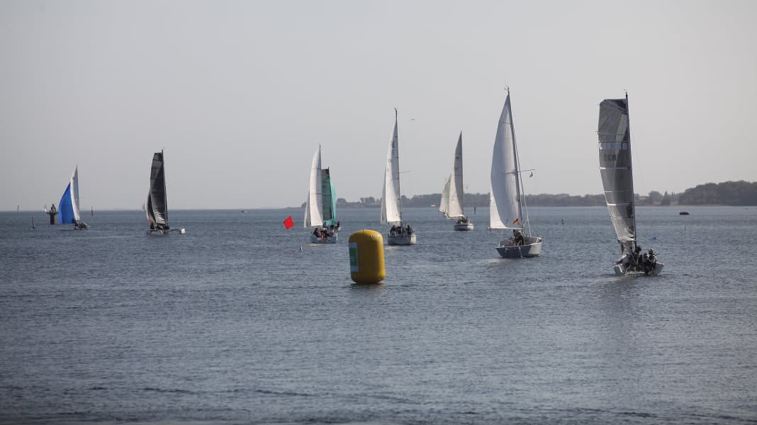 Vegvisir Race 2021: "Surreal. Crazy. Simply good."