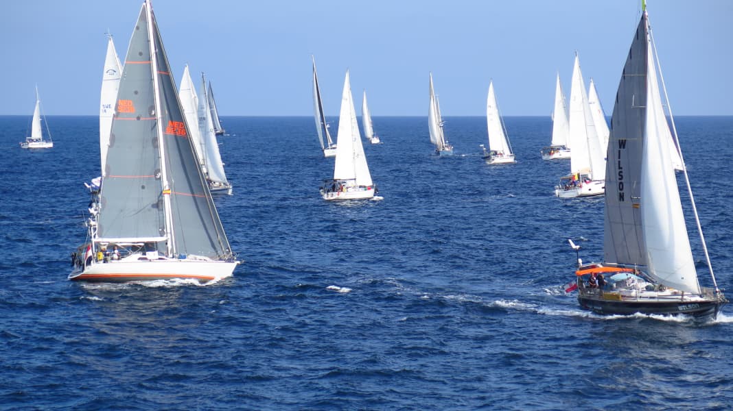 Blue water: ARC start: 141 yachts on course for the Caribbean